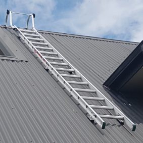Easy Access Trade Series Roof Ladder