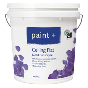 Paint Plus Ceiling Flat