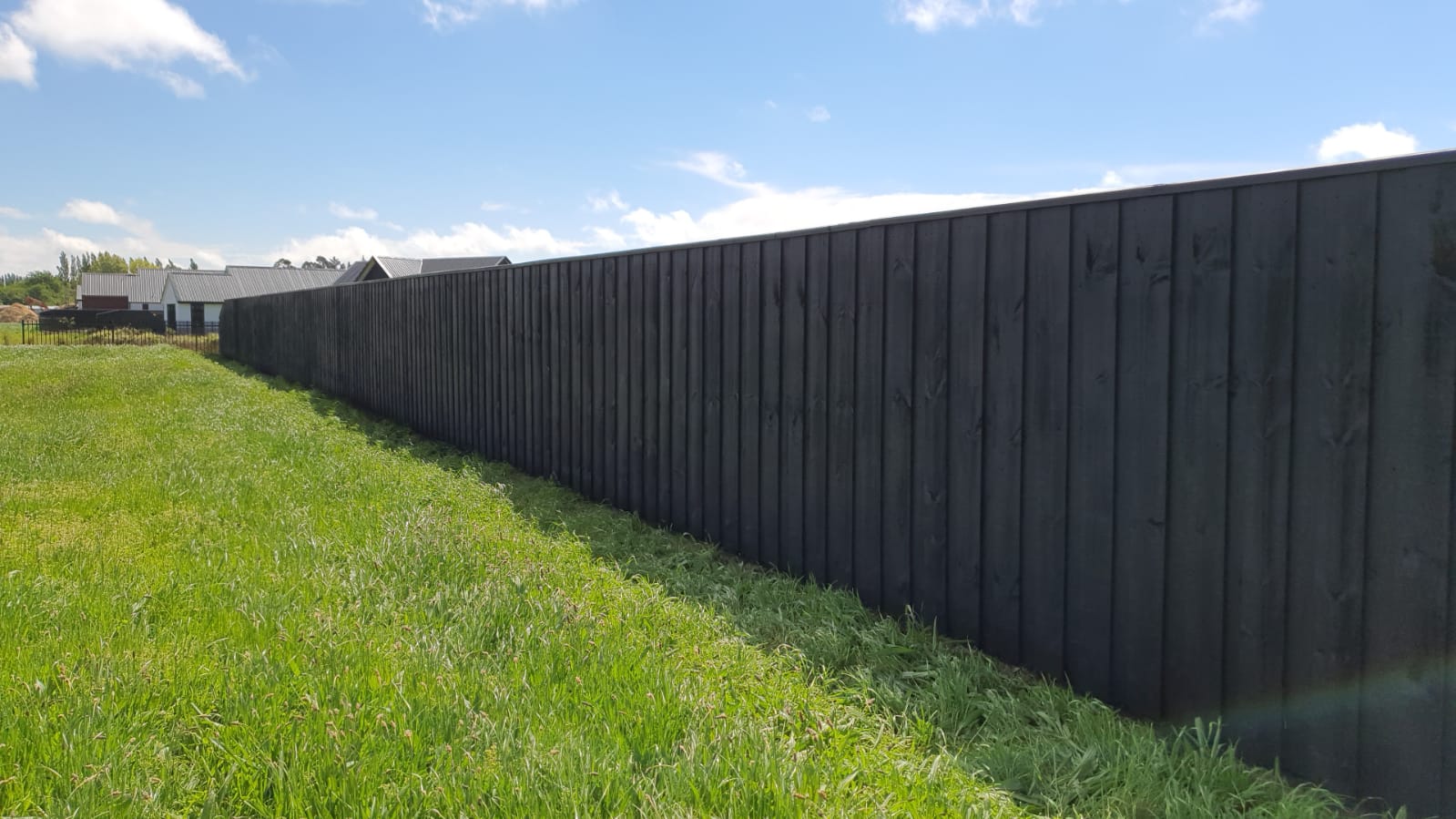 Read more about the article When is the best time to Paint my Fence?