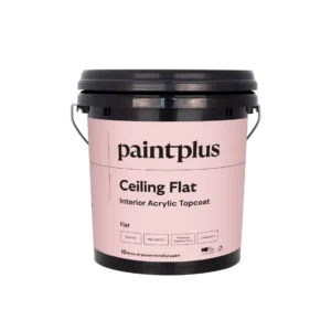 Paint Plus Ceiling Flat