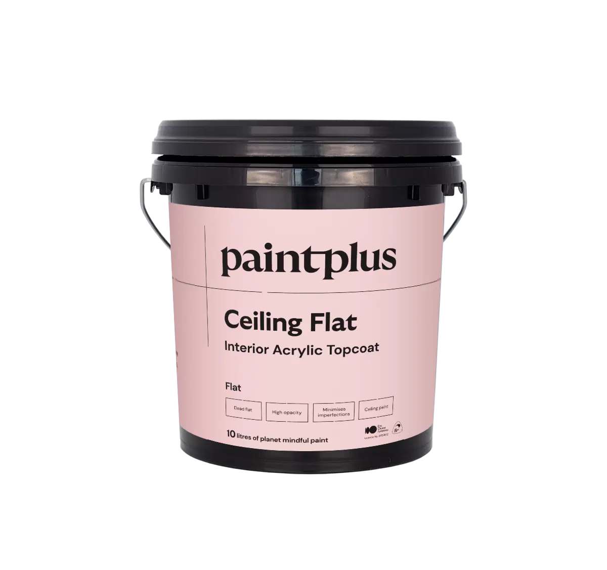 Paint Plus Ceiling Flat