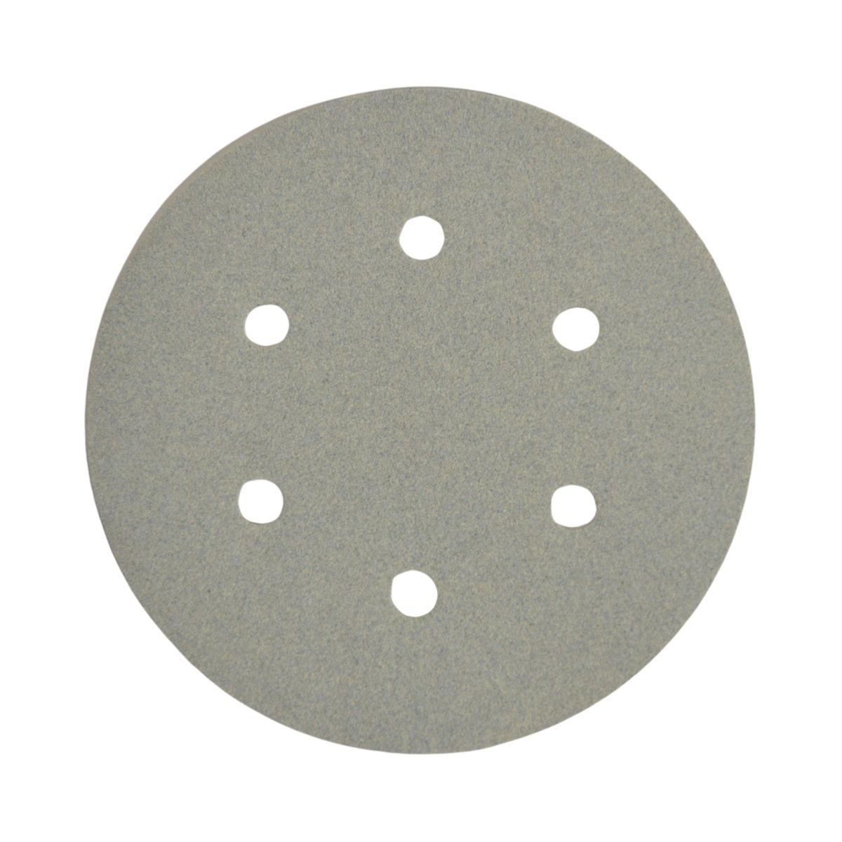 Paintr Sanding Disc - 150mm